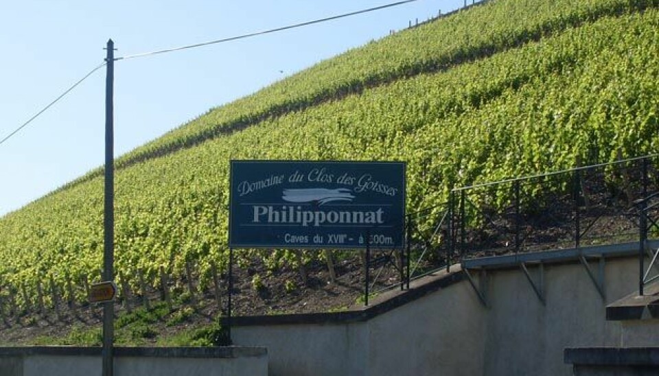 Opplevelser i periferien av ParisClos des Goisses - Philopponat er et av de kvaluitetsmerkene som bruker druer fra egen vinmarkFoto: Jon Winding-Sørensen