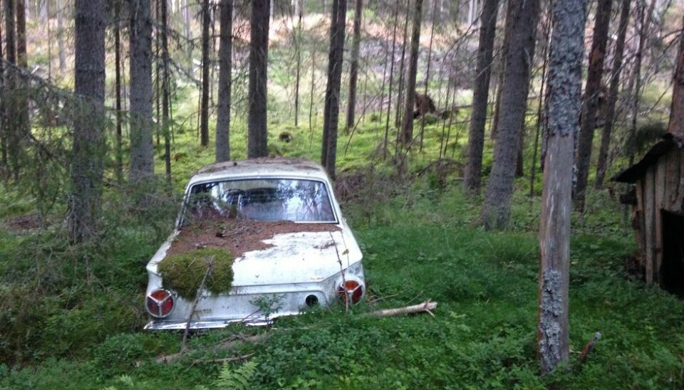 Jon GabrielsenPå blåbærtur i Finnskogen fant vi en gammel Ford Cortina