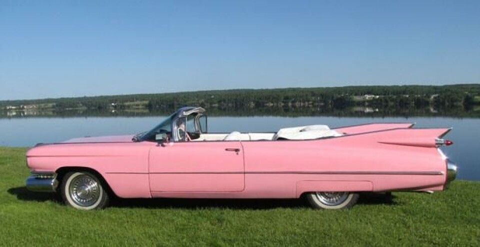 Lang, lang rekke – Cadillacs