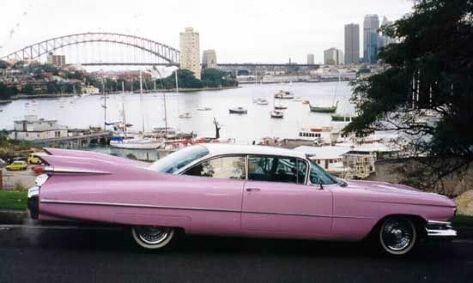 Pink Cadillac anno 1959