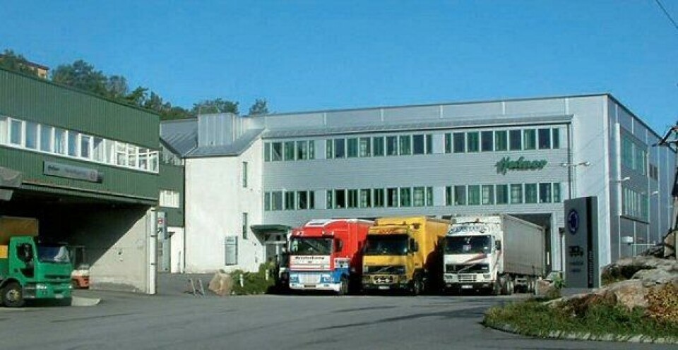 Ny sjef i AS Hafnor