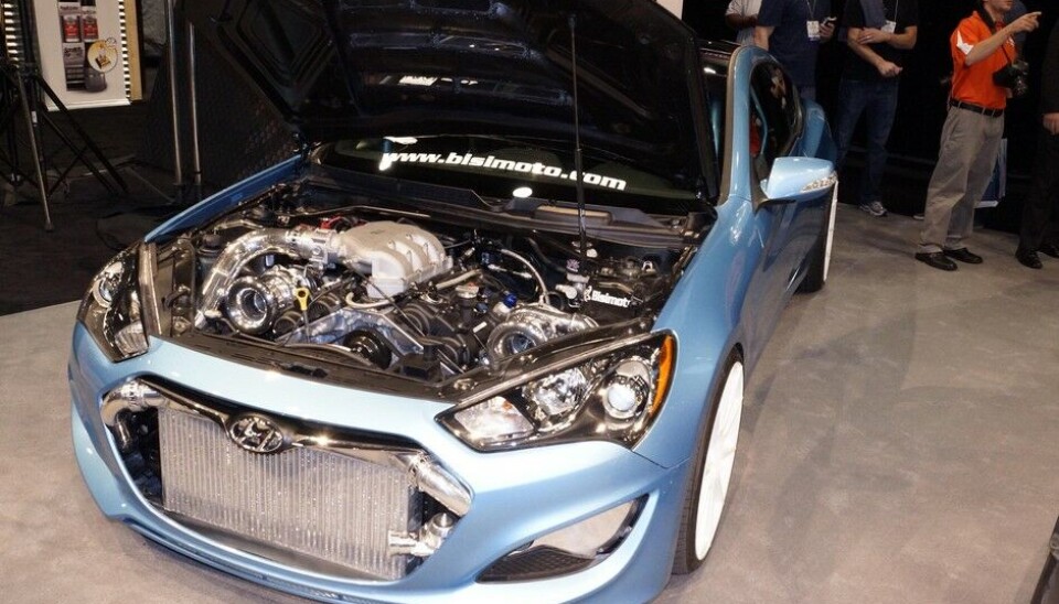 Sema Show 2013