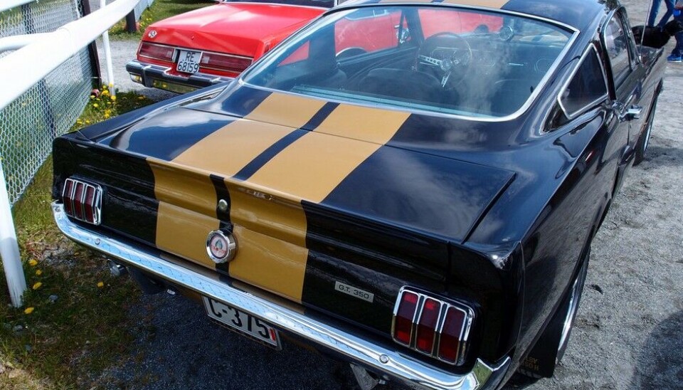 Vårmønstringen 2014Ford Mustang Shelby Coupe 1966 HertzFoto: Knut Skallerud