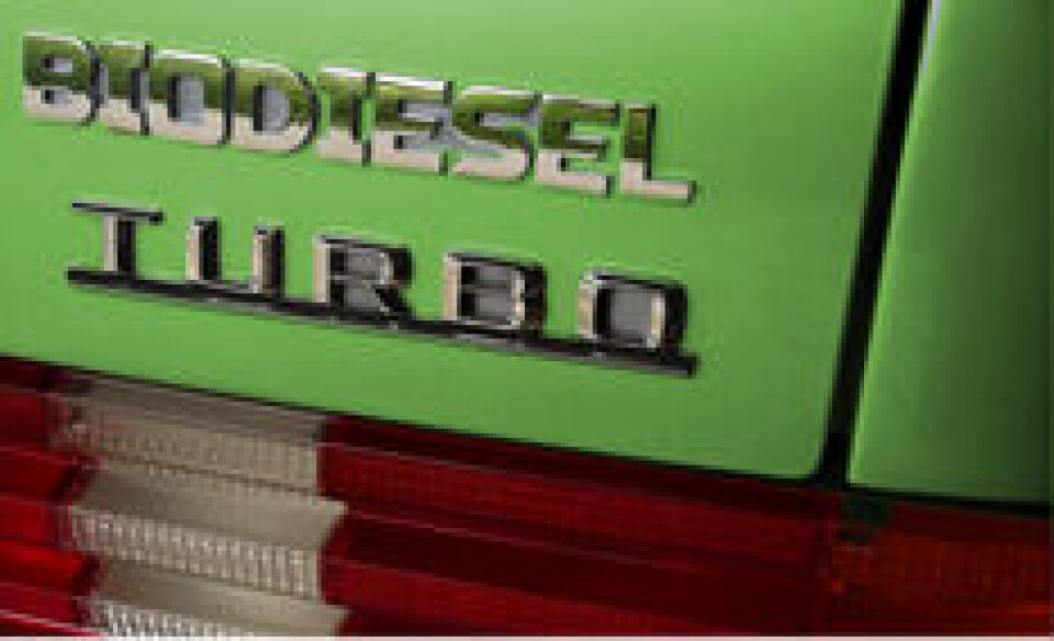 Norske trær blir biodiesel
