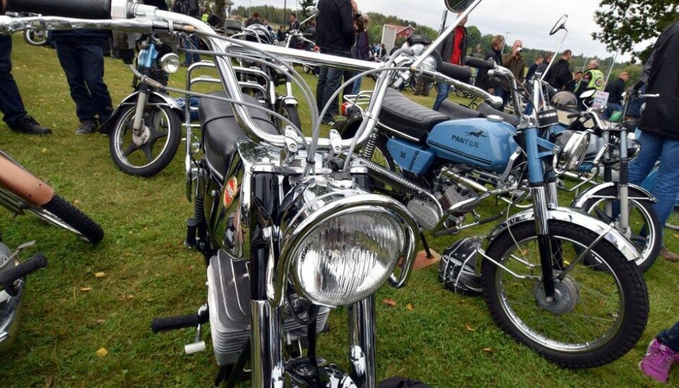 Stram Vaier 2014