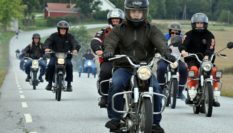 Stram Vaier 2014