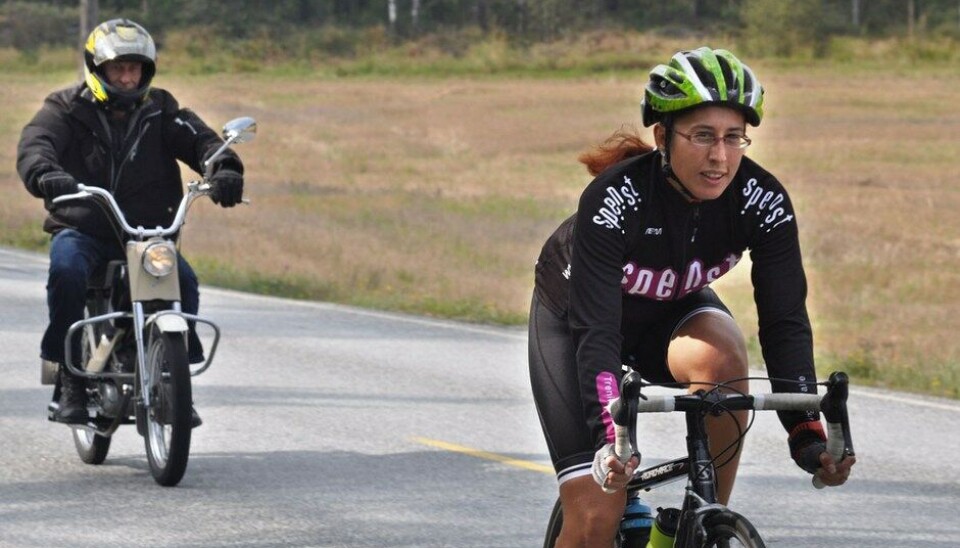 Stram Vaier 2014