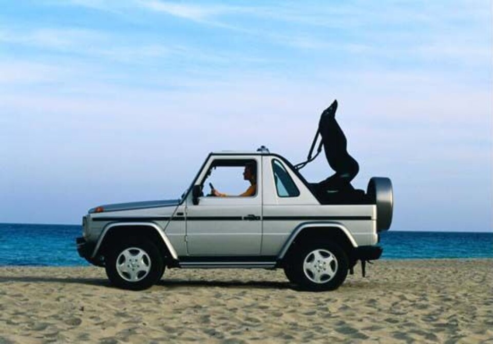 Mercedes G320
