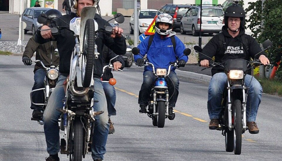 Stram Vaier 2014