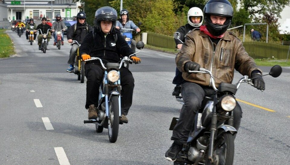 Stram Vaier 2014