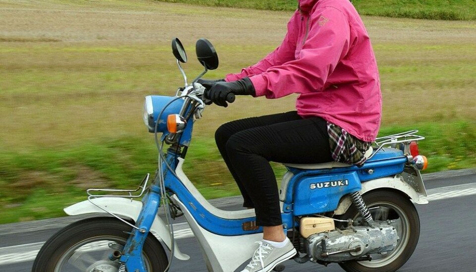 Stram Vaier 2014