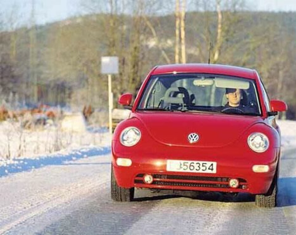BeetleBeetle BeetleBeetle