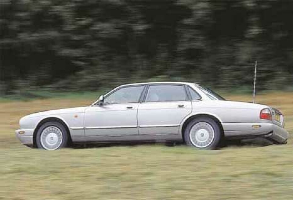 XJ8XJ8 XJ8XJ8