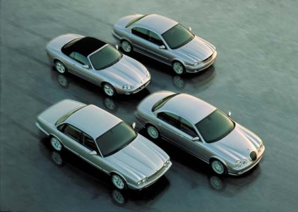 Jaguar family