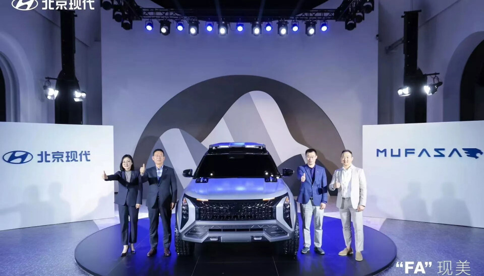 Hyundai Mufasa Adventure