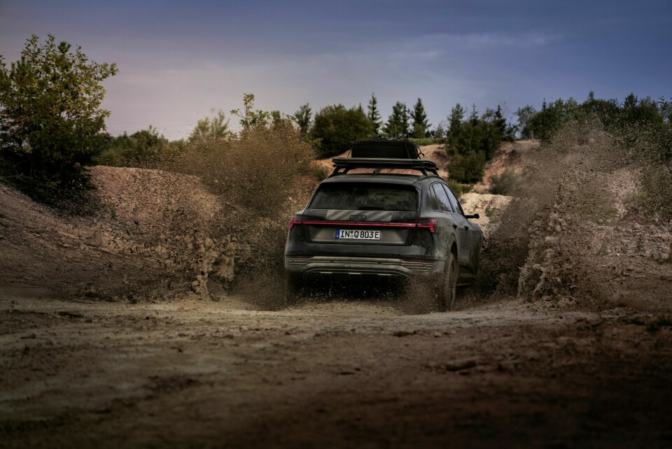 Dynamic photo,Colour: Mythos black metallic, specific edition Dakar wrapping