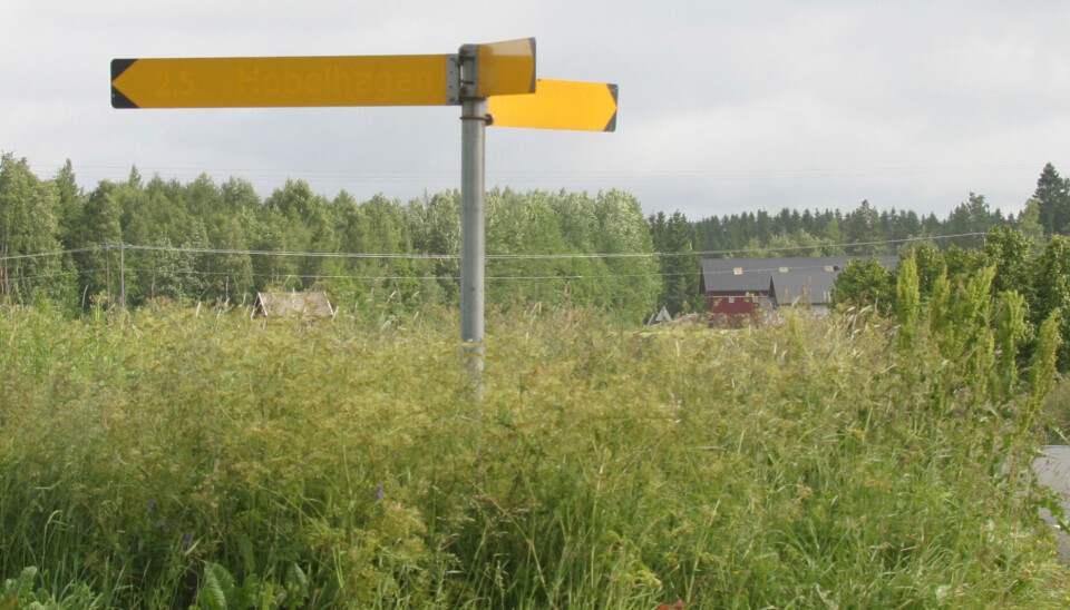 KOR SKA' VI REIS? Ikke lett å tolke hvor disse veiene fører.