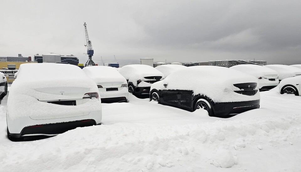 Tesla lagerbiler begravd i snøen. Volkswagen ble soleklart største merke i januar.
