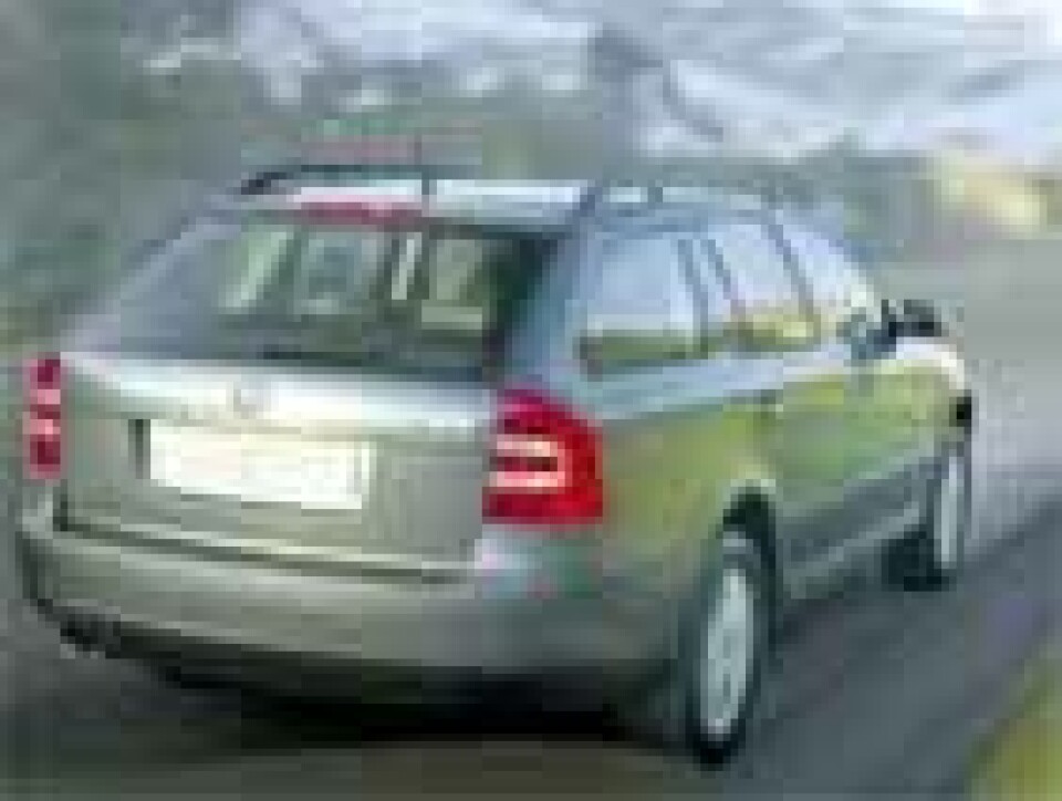 Skoda Octavia 4x4: Hyttebil