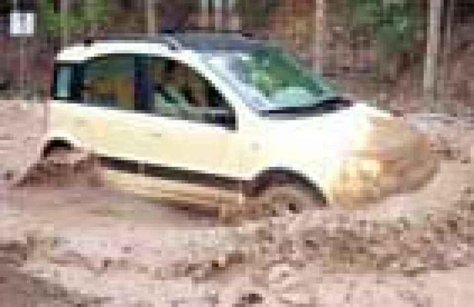 Fiat Panda 4x4: Urban speider
