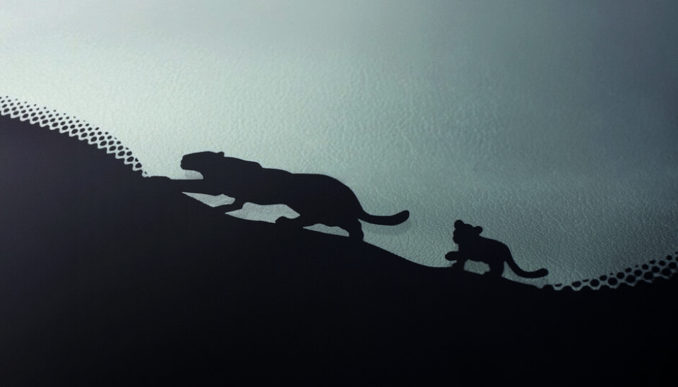Jaguar E-Pace Jaguar E-Pace