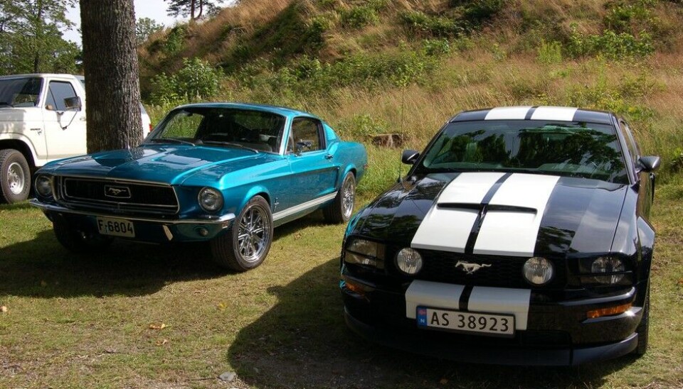 Grensetreffet Halden 2015MustangbrødreFoto: Knut Skallerud
