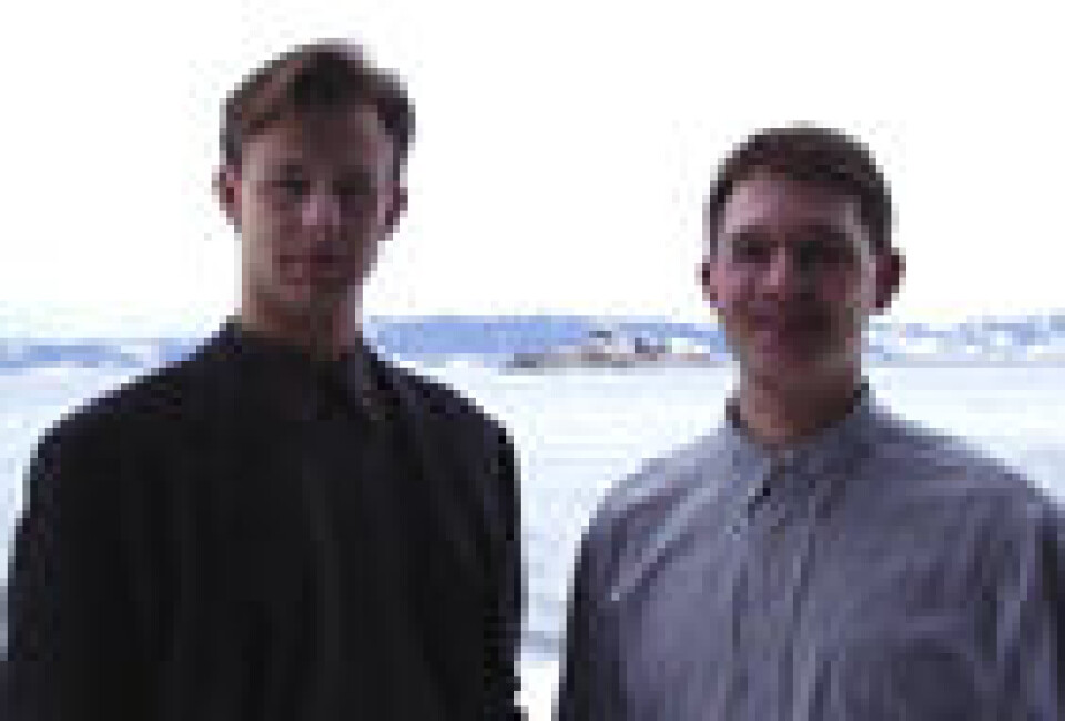 Datafirma med bilsuksess