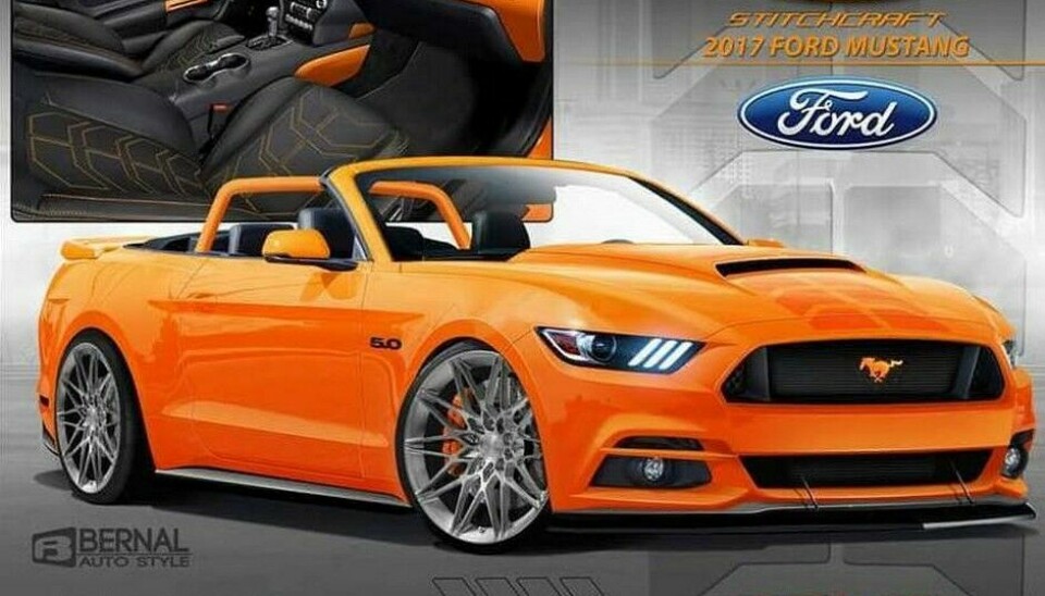 Ford Mustang Convertible by Stitchcraft