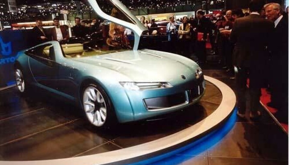 Bertone Birusa