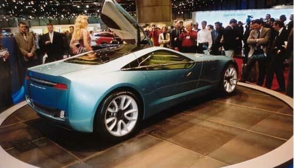 Bertone Birusa