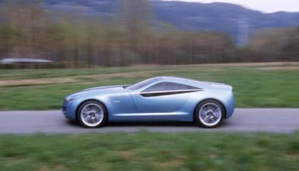 Bertone Birusa