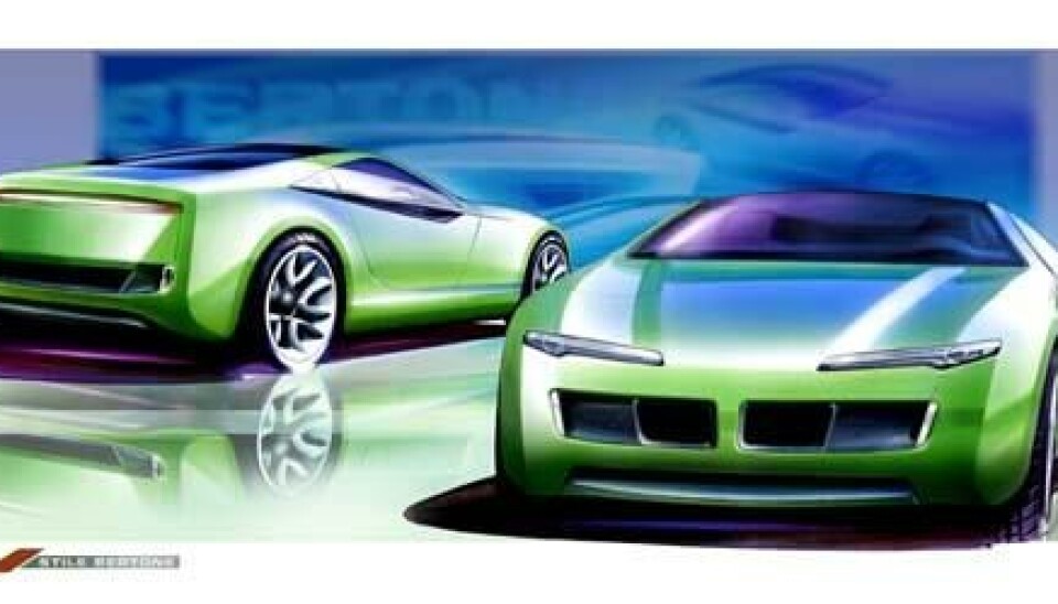 Bertone Birusa